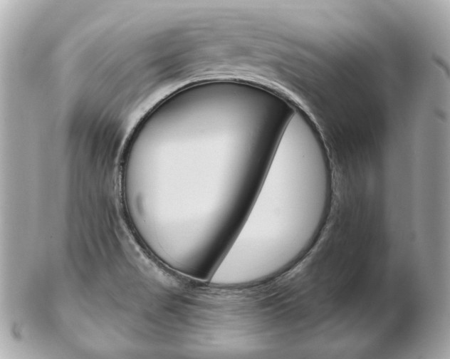 X0000103281517200808291034