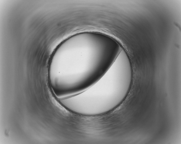 X0000103281518200808291034