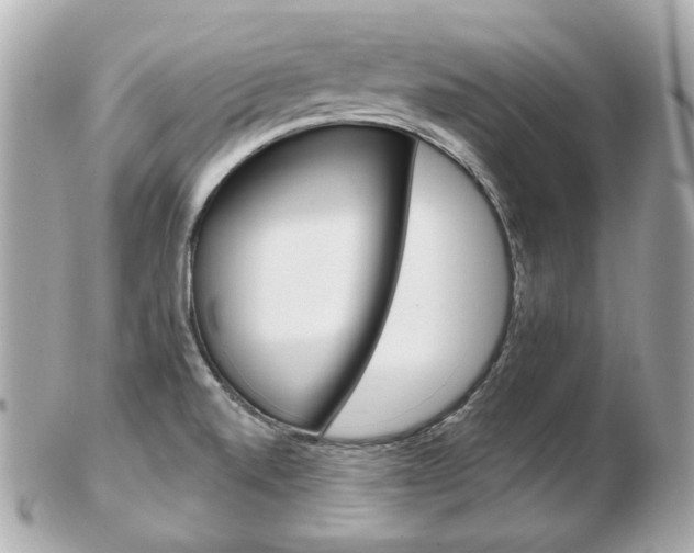 X0000103281520200808291034