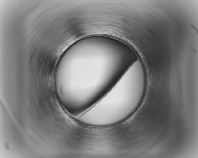 X0000103281521200808291034