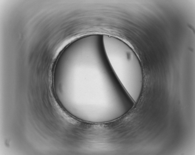 X0000103281523200808291034
