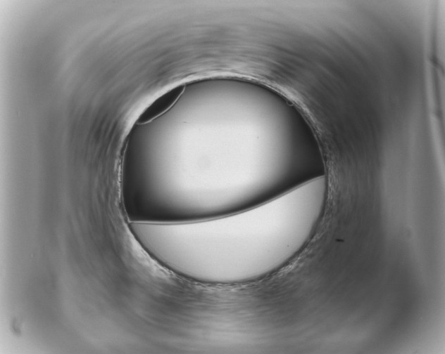 X0000103281524200808291034
