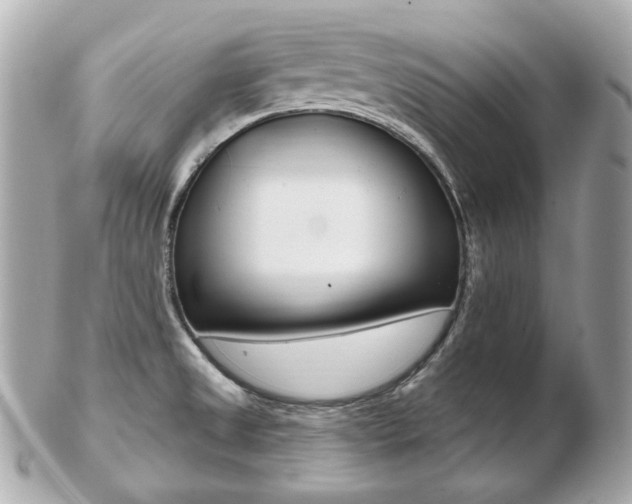 X0000103281525200808291034