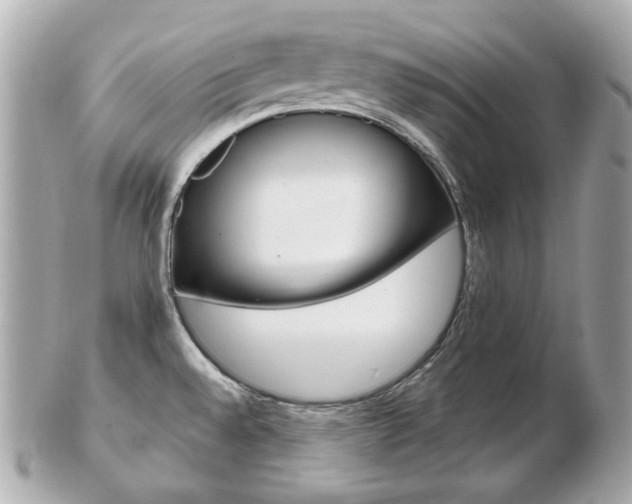 X0000103281528200808291034