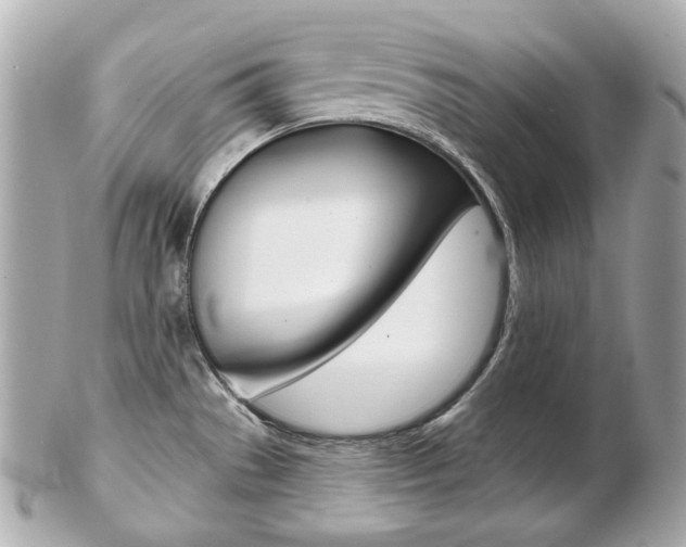 X0000103281529200808291034
