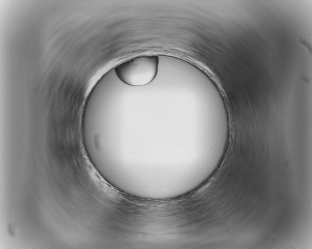 X0000103281530200808291034