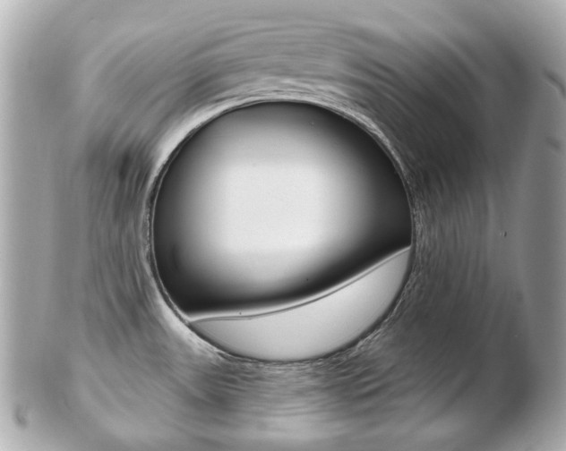 X0000103281531200808291034