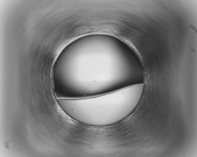 X0000103281532200808291034