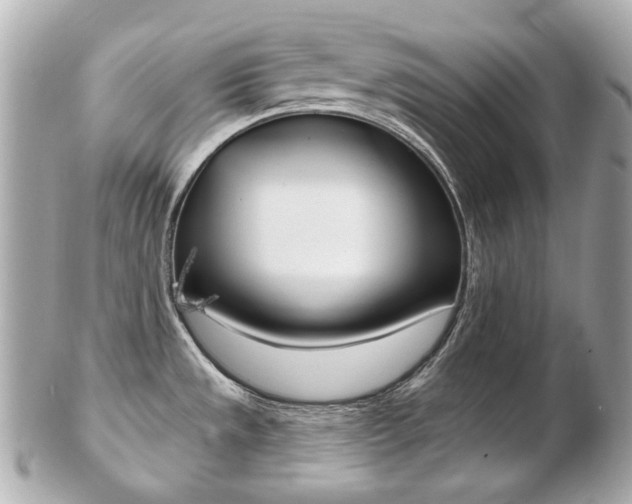 X0000103281533200808291034