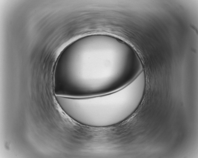 X0000103281534200808291034