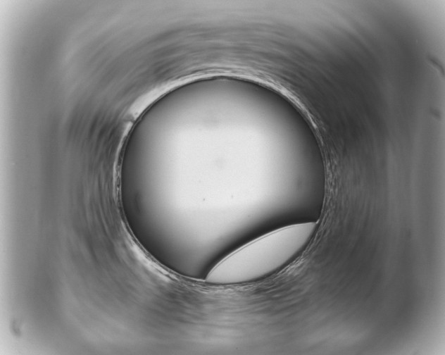 X0000103281535200808291034