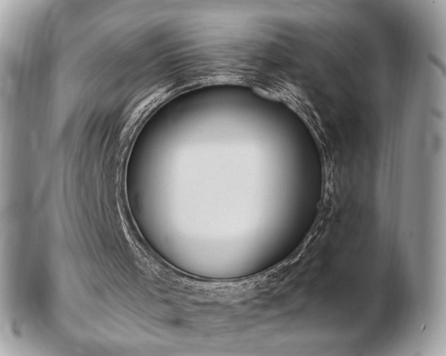 X0000103280001200808291321