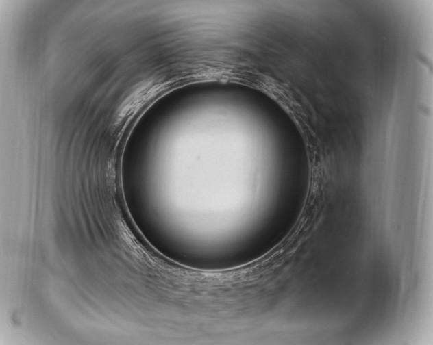 X0000103280002200808291321