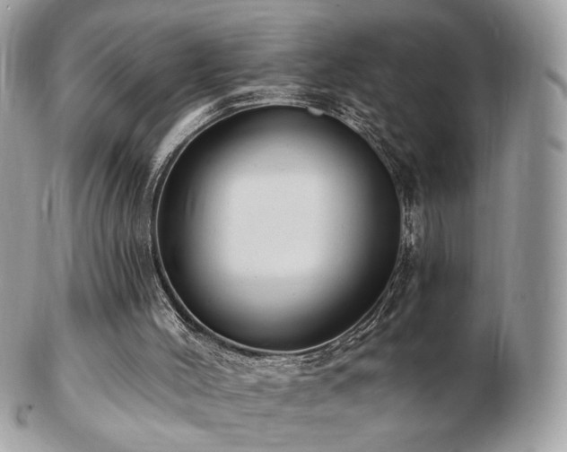 X0000103280004200808291321