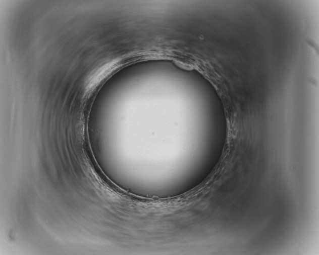 X0000103280005200808291321