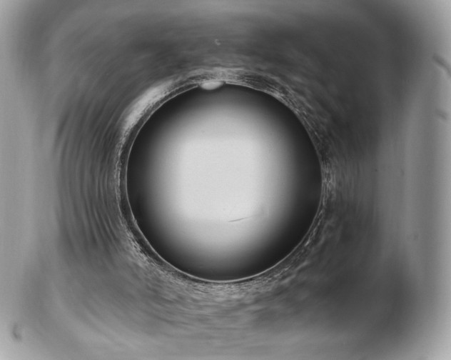 X0000103280006200808291321