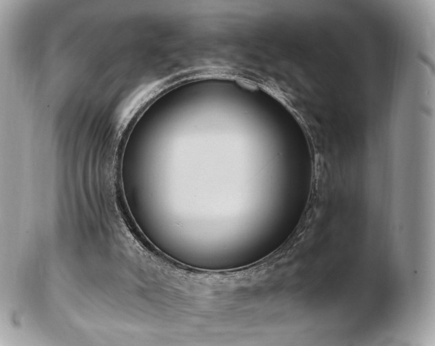 X0000103280007200808291321