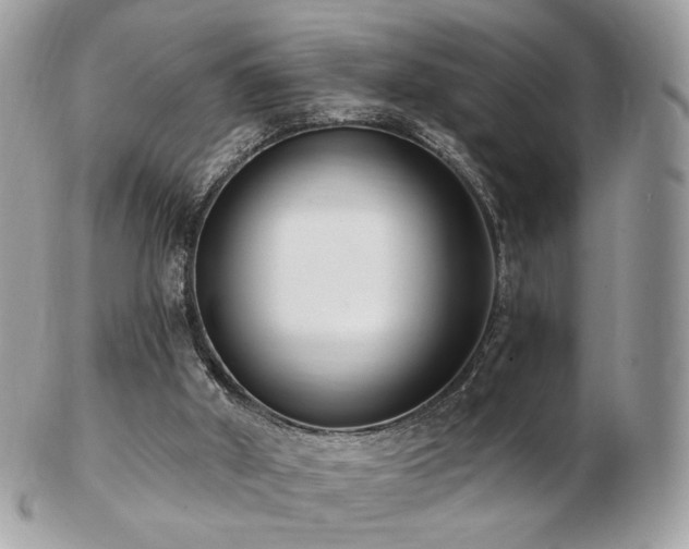 X0000103280010200808291321