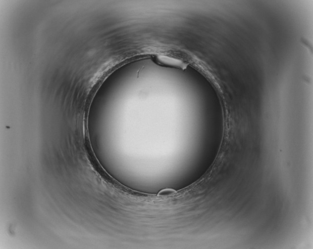 X0000103280011200808291321