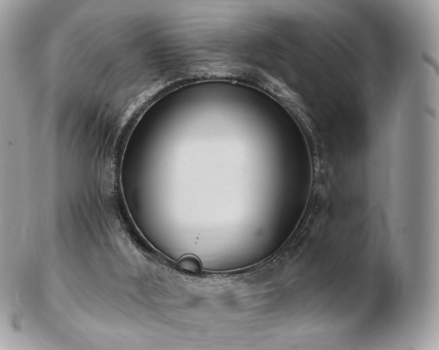 X0000103280012200808291321