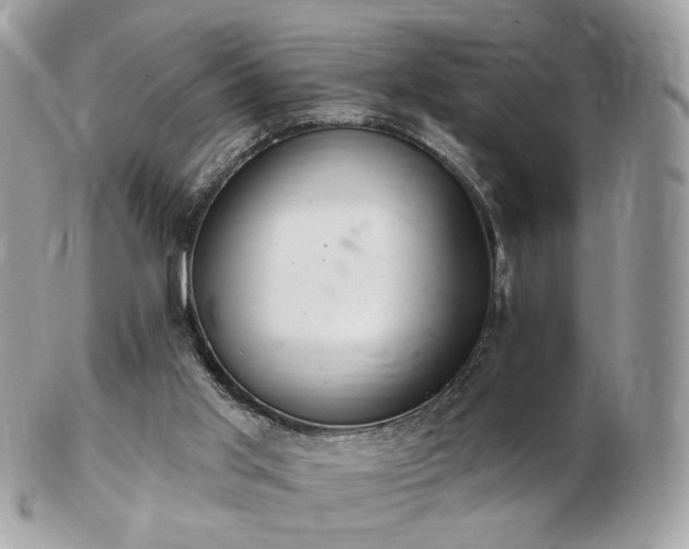 X0000103280013200808291321