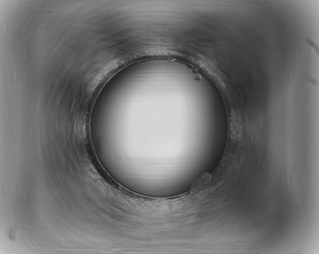 X0000103280015200808291321