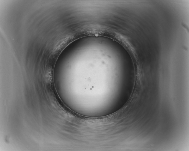 X0000103280017200808291321