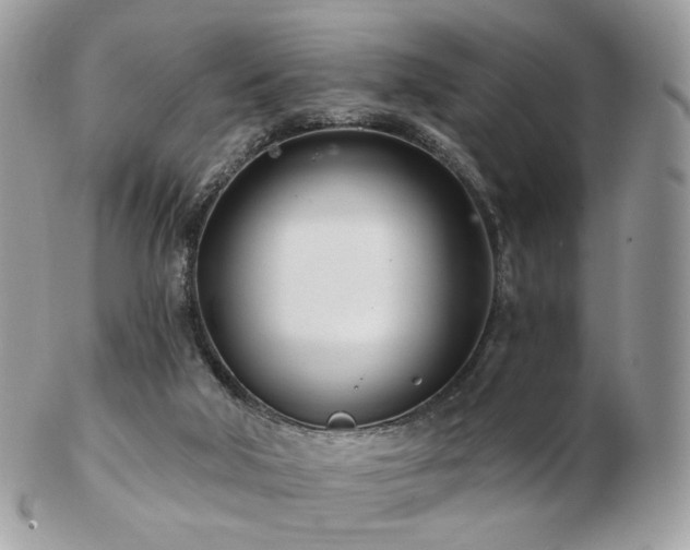 X0000103280018200808291321