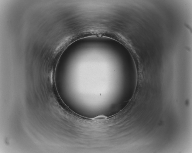 X0000103280019200808291321