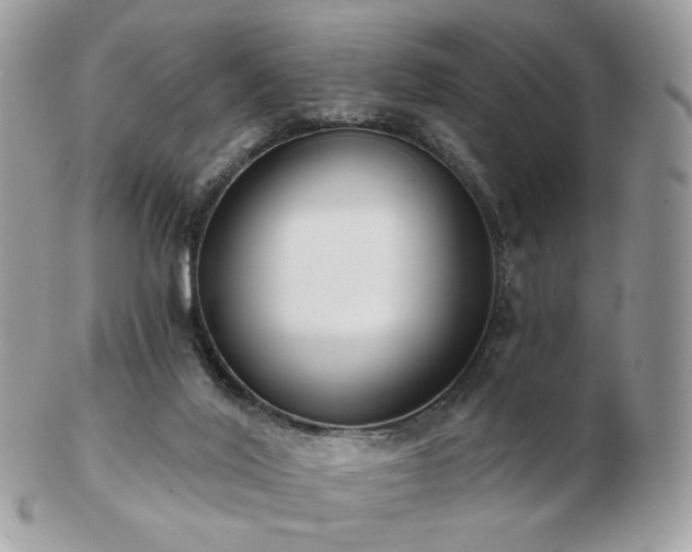 X0000103280020200808291321