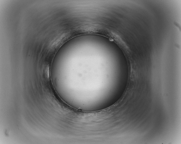 X0000103280021200808291321