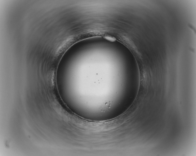 X0000103280023200808291321