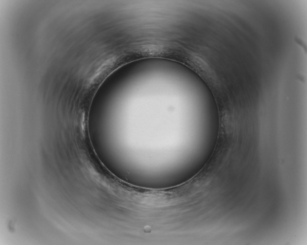 X0000103280024200808291321