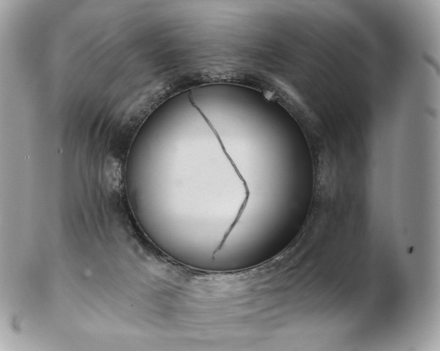 X0000103280025200808291321