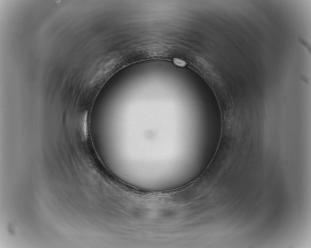 X0000103280028200808291321