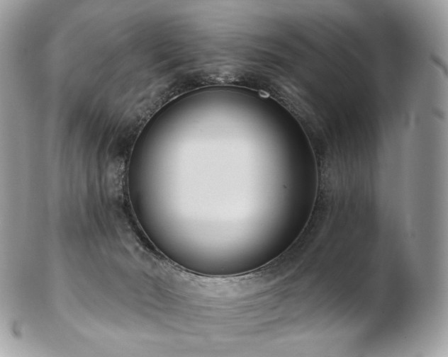 X0000103280030200808291321