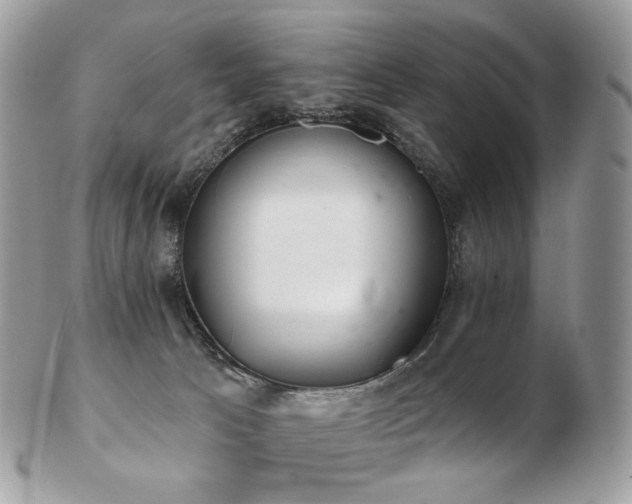 X0000103280033200808291321