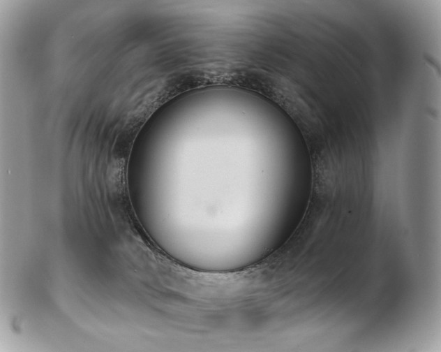 X0000103280034200808291321