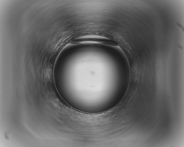 X0000103280035200808291321