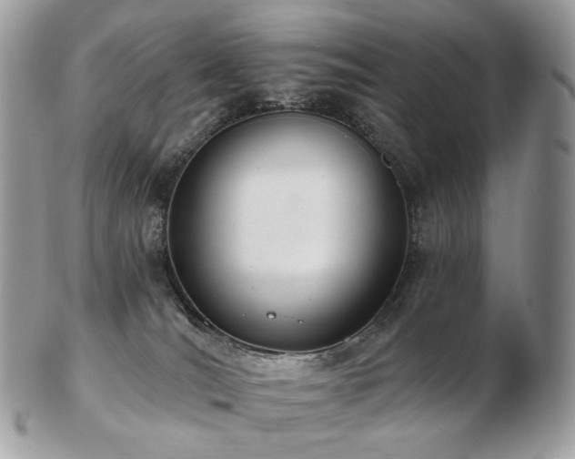 X0000103280036200808291321