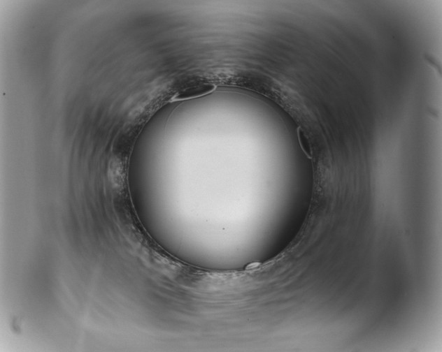 X0000103280037200808291321