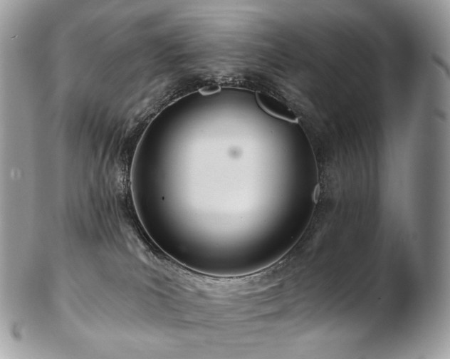 X0000103280039200808291321