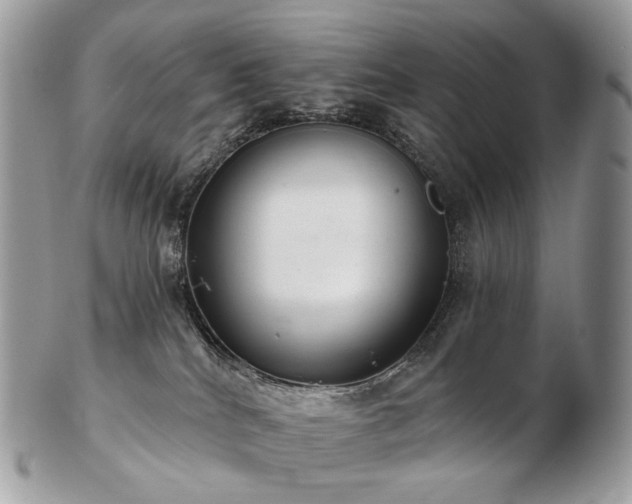 X0000103280040200808291321