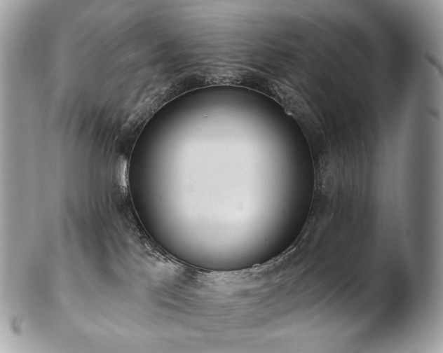 X0000103280041200808291321