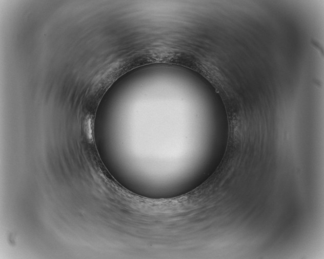 X0000103280042200808291321