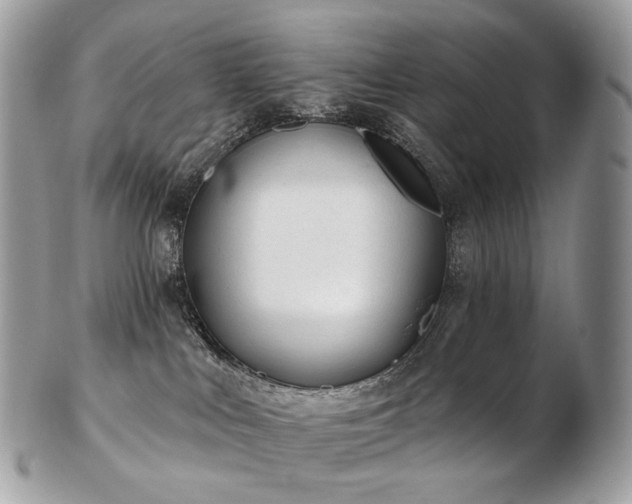 X0000103280043200808291321