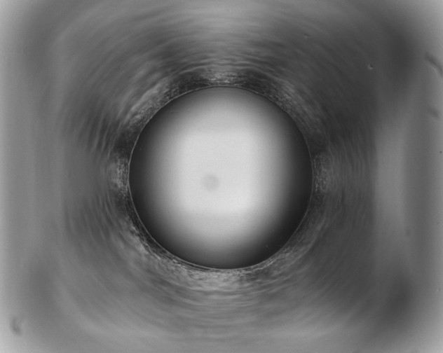 X0000103280044200808291321