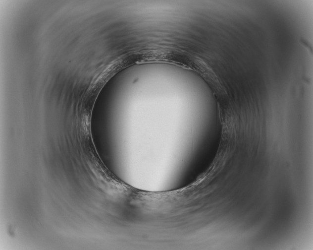 X0000103280045200808291321