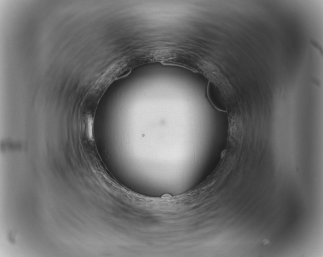 X0000103280046200808291321