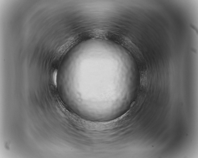 X0000103280047200808291321